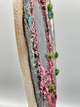 Load image into Gallery viewer, The Reclaiming